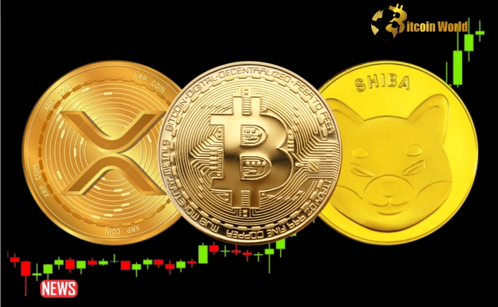 Bitcoin Is In Decline, Shibarium Is On The Rise, XRP Is On Hold