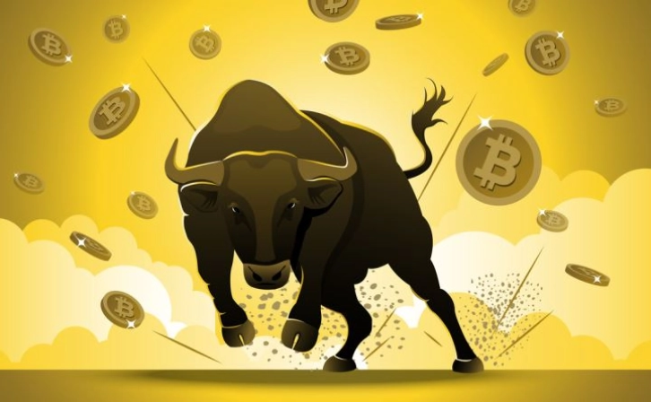 Bitcoin Ignores Expected Pullback: Is the Bull Market Continued or the Calm Before the Storm?