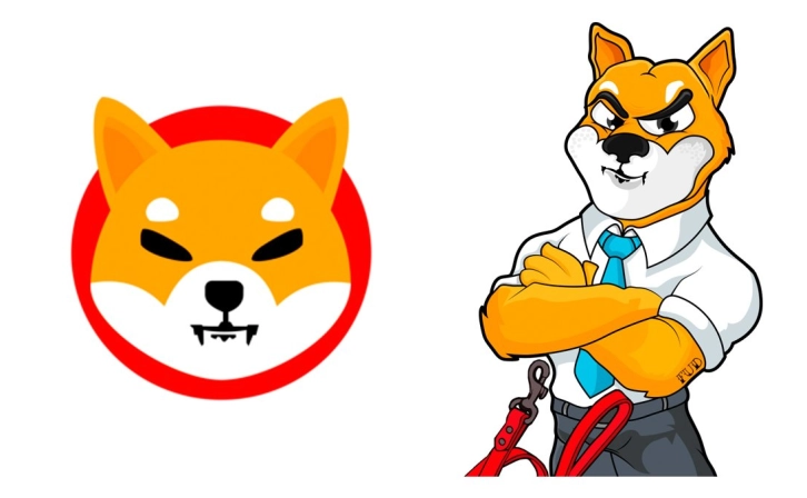 SHIB Becomes Usable in the Real World!