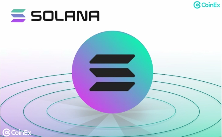 Is It Possible to Become a Millionaire by Trading Memecoin? 1DOL Example