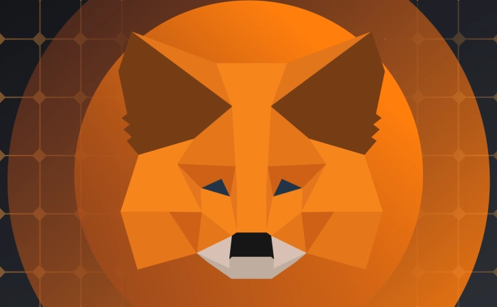 MetaMask's Bitcoin Step: Is the Cryptocurrency World Changing?