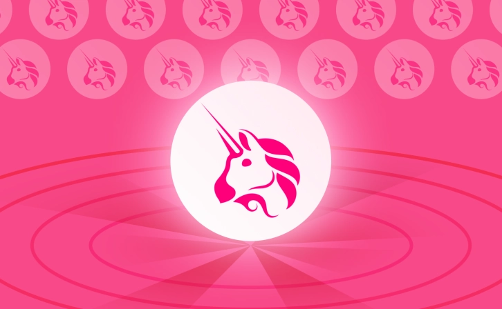 Governance Crisis in Uniswap: Are Token Holders or Shareholders Important?