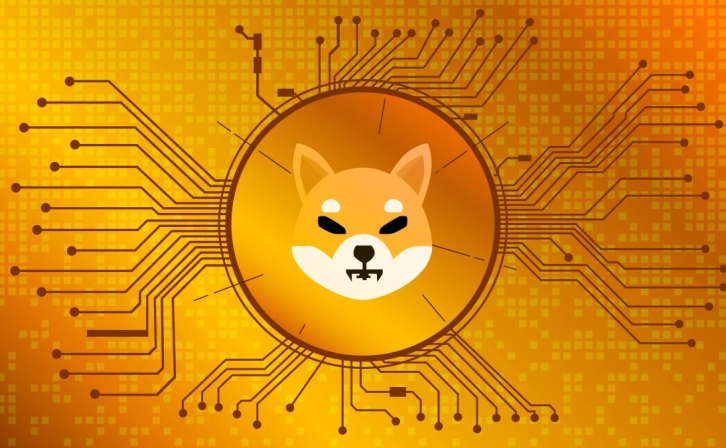 Shiba Inu (SHIB) Killing Rate Broke a Record! What Will The Price Be?