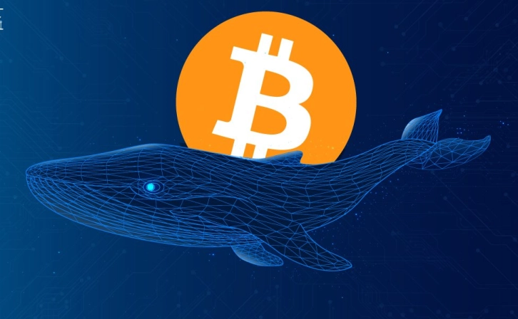 Whales Escape, Is Bitcoin Crashing?