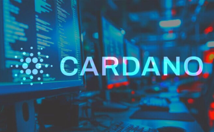 Cardano DDoS Attack Security Victory or Strategic Game?