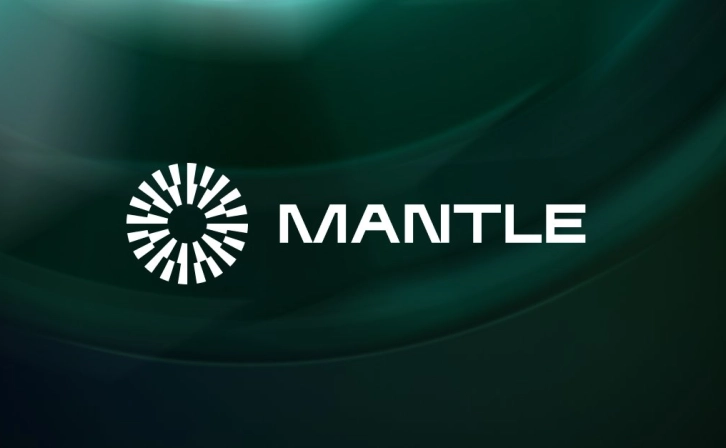 Who Are the Whales Behind MNT Token's Latest Jump?