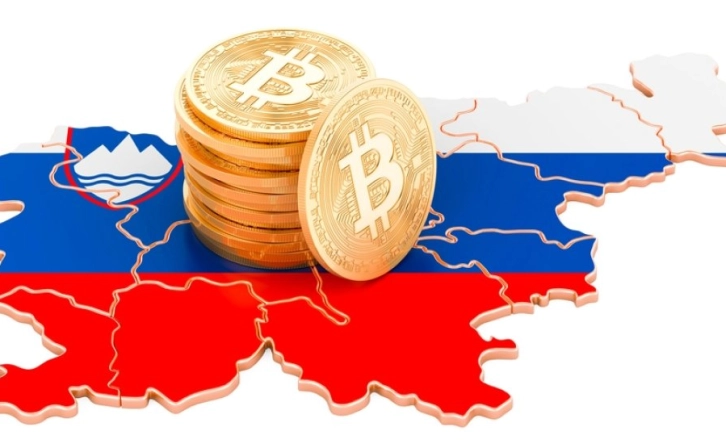 Slovenia Issued 30 Million Euros of Government Digital Bonds