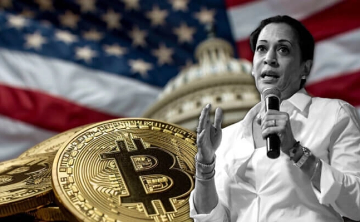 Harris and Democratic Party Reviewing Crypto Policy