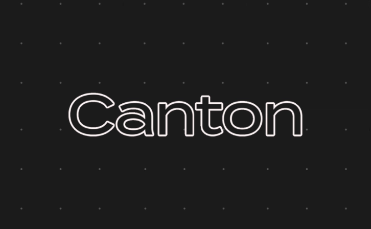 Canto Blockchain has been Offline for 33 Hours!