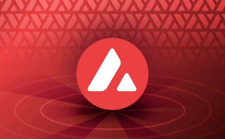 AVAX Increased by 12% in the Last 24 Hours!