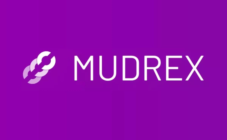 Mudrex Wins Court Against Scam Websites!