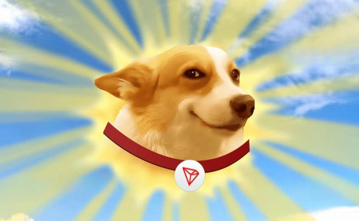 Famous Rapper Ty Dolla $ign Burned SUNDOG Token With Wrong Transfer