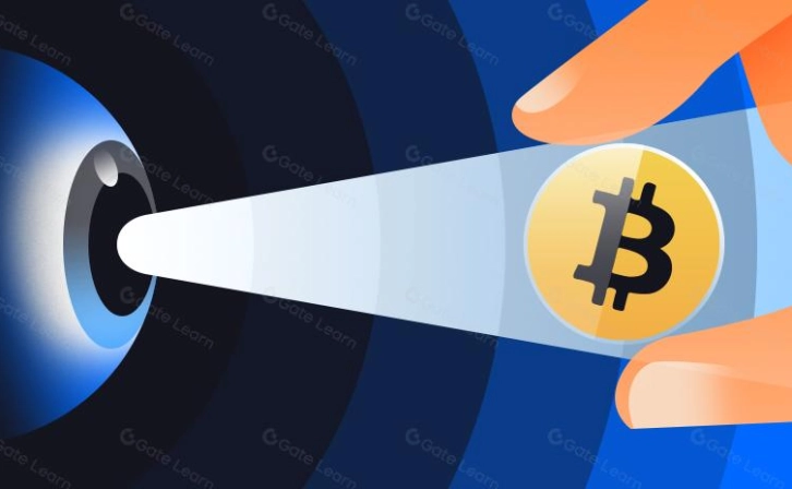 78% Increase in Crypto Settlements in 2024