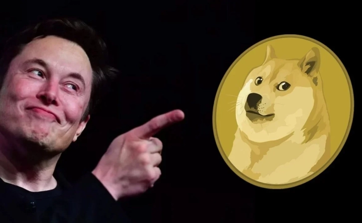 Elon Musk's D.O.G.E Plan Boosts Dogecoin