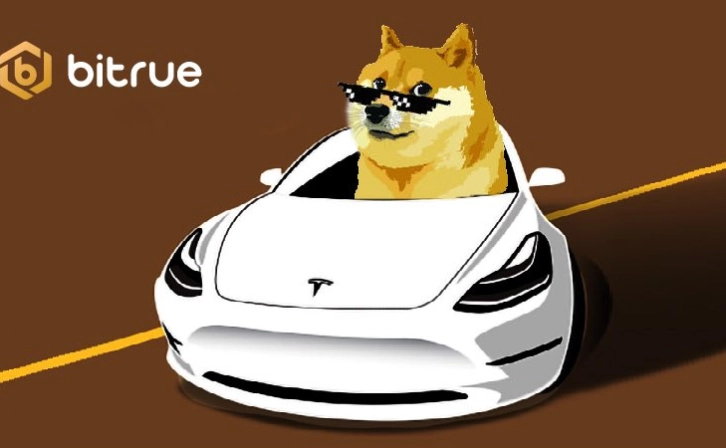 Earn $30,000 in Rewards by Trading DOGE on Bitrue!