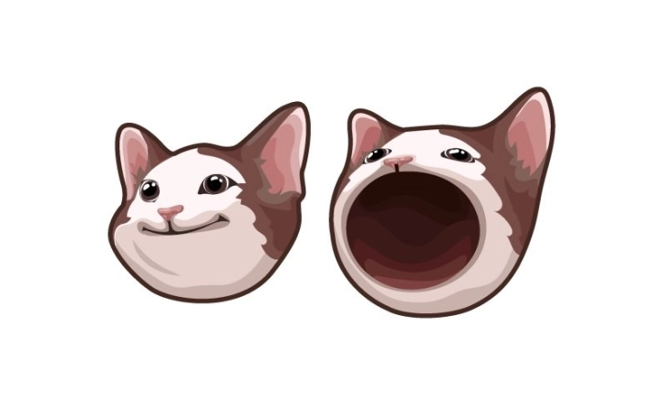 Popcat Price Increased by 17.8%!