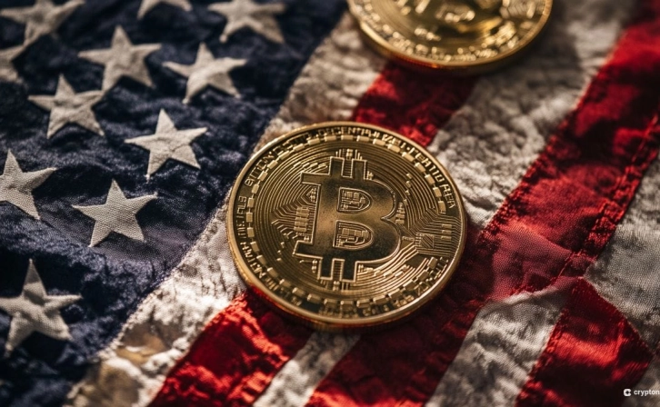 247 Pro-Crypto Candidates Elected to US House of Representatives