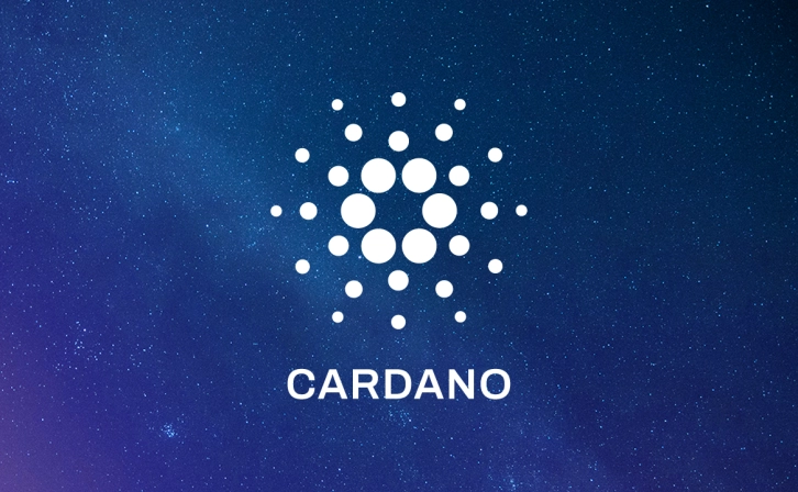 Cardano Price Rises to $0.657, Then Drops 14%