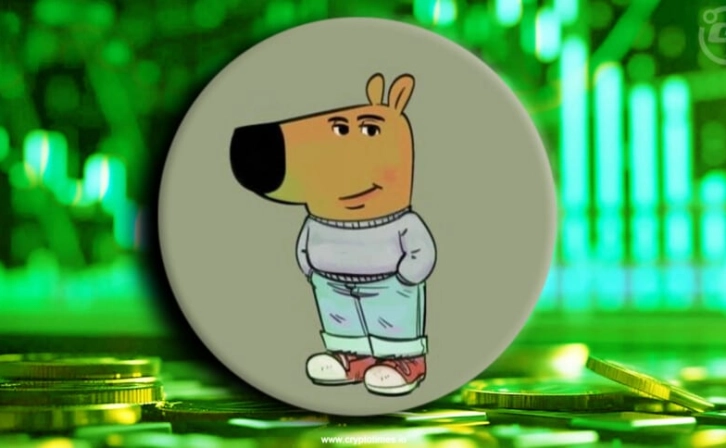 Chillguy Meme and CHILLGUY Token: Disclaimers and Depreciation