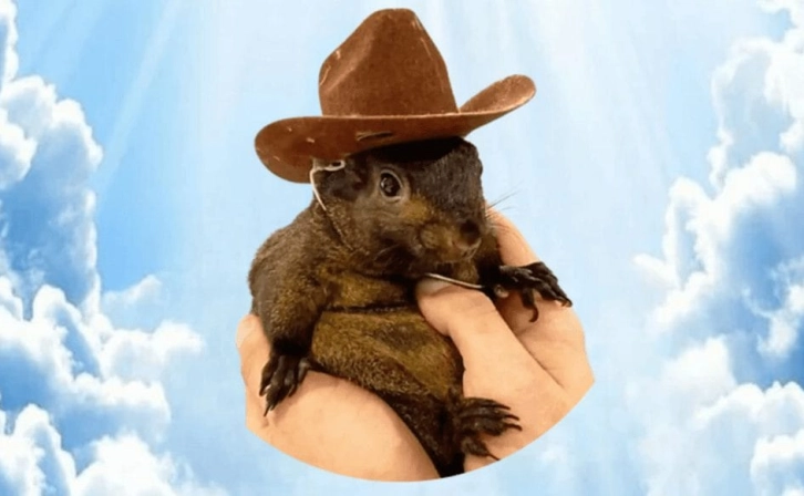 JUSTICE Token Reached $13 Million Market Value