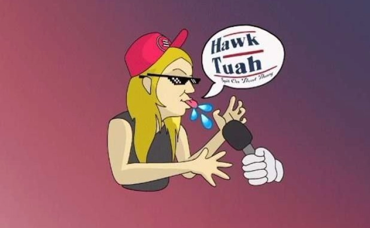 Hawk Tuah 90% Drop in Memecoin