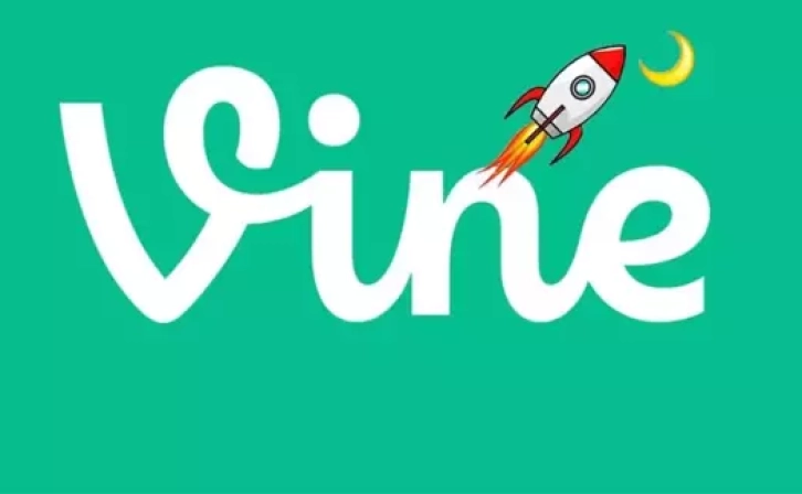 25x Leverage Support for VINE Coin