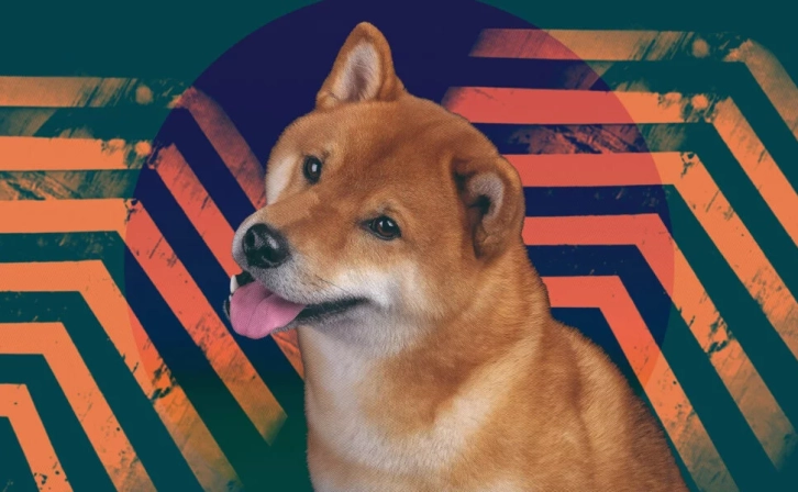 UAE & Shiba Inu: Historical Partnership on Web3!