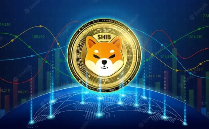 Shiba Inu lost 65 %: Technical Signals Alarm