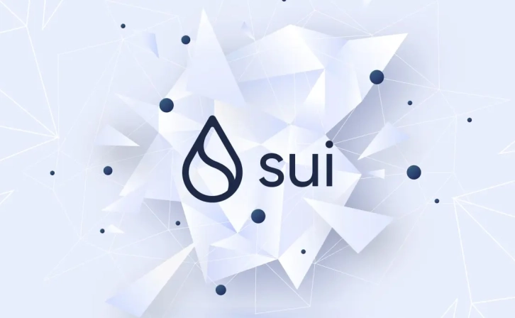 New Investment Opportunity for SUİ users: Tokenized Funds