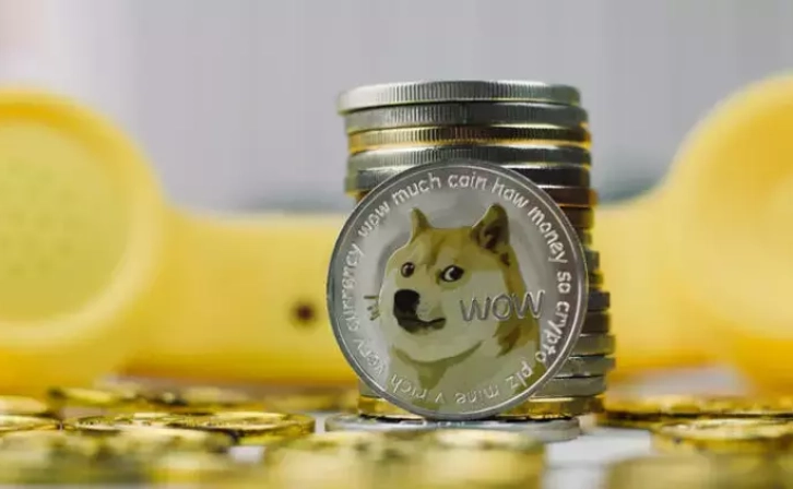 What awaits Dogecoin investors?